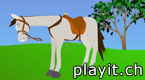 Horse Race