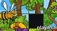 Insect Pic Puzzles