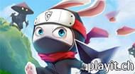 Ninja Rabbit