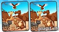 Spot 5 Differences Deserts